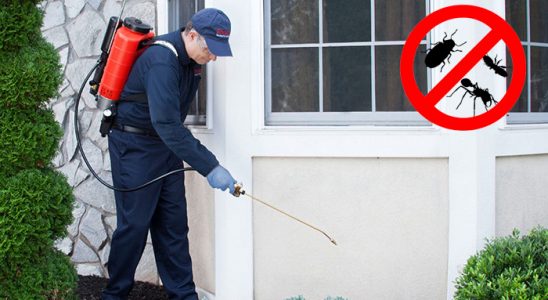 Ilıpınar Hamam Böceği İlaçlama böcek ilaçlama ve haşere kontrolü — ilaclama-tr.com